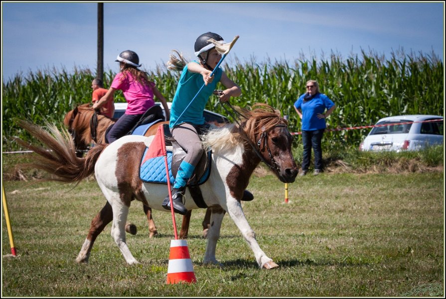 Mounted Games 115